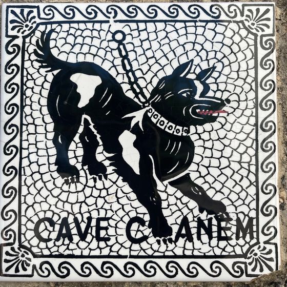 A Cave Canem mosaic tile with a black dog and Roman lettering
